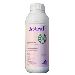 Astral Plus