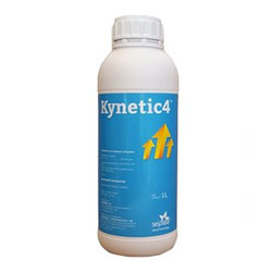 Kynetic 4